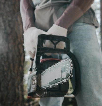 chainsaw manual